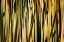 Picture of DESERT GRASSES I