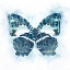 Picture of WINGS OF COLOR