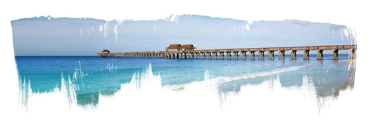 Picture of VIRGINIA BEACH PIER