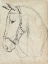 Picture of HORSE IN BRIDLE SKETCH II