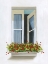 Picture of THROUGH THE DRAPES I