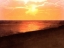 Picture of SUNSET DREAMS IV