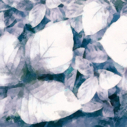 Picture of BLUE SHADED LEAVES II