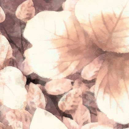 Picture of BLUSH SHADED LEAVES I