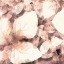 Picture of BLUSH SHADED LEAVES II