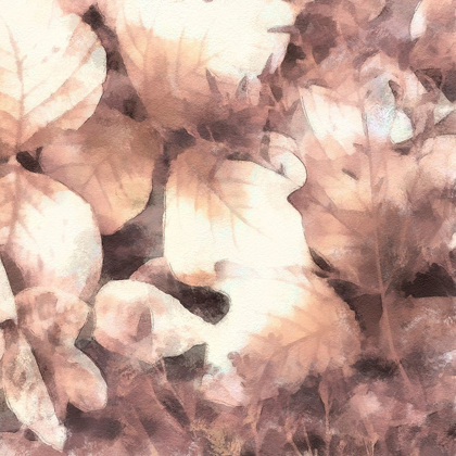 Picture of BLUSH SHADED LEAVES IV