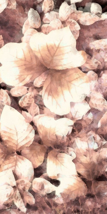 Picture of BLUSH SHADED LEAVES V