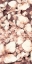 Picture of BLUSH SHADED LEAVES VI