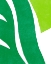 Picture of COLOR CUTS II