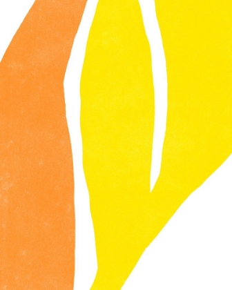 Picture of COLOR CUTS V