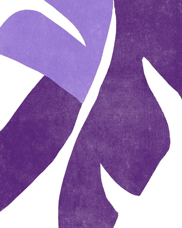 Picture of COLOR CUTS VIII