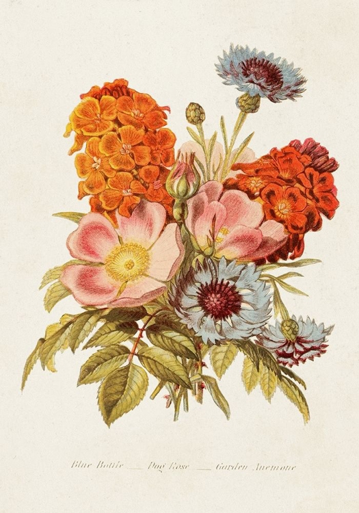 Picture of ANTIQUE FLORAL BOUQUET II