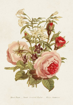 Picture of ANTIQUE FLORAL BOUQUET III