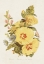 Picture of ANTIQUE FLORAL BOUQUET VI