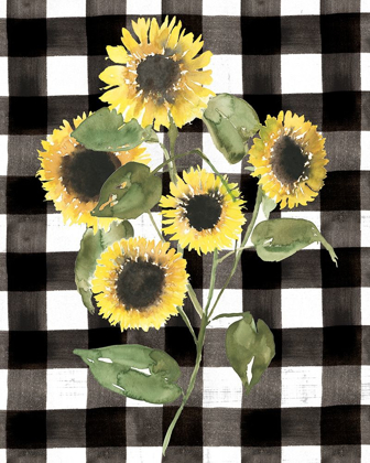 Picture of BUFFALO CHECK SUNFLOWER II
