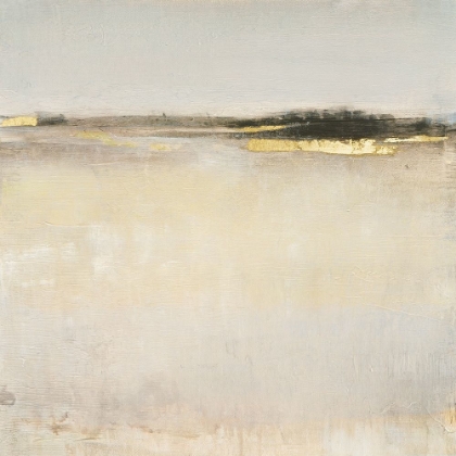 Picture of EMBELLISHED SUBTLE SCAPE I