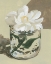 Picture of NEUTRAL BLOOM I