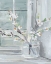 Picture of SPRING SUNLIGHT II
