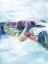 Picture of GLIDING ON ICE I
