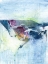 Picture of GLIDING ON ICE II