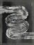 Picture of GREY LINEAR PATH I
