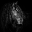 Picture of EQUINE PORTRAIT IX