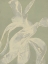 Picture of WHITE RIBBON ON CELADON I