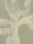 Picture of WHITE RIBBON ON CELADON II