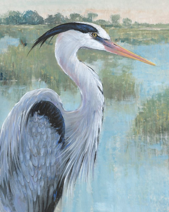 Picture of BLUE HERON PORTRAIT II
