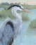 Picture of BLUE HERON PORTRAIT II