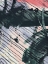 Picture of ANGLED SPACES V