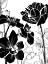 Picture of MONOTYPE GARDEN I