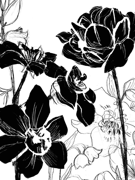 Picture of MONOTYPE GARDEN I