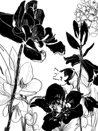 Picture of MONOTYPE GARDEN II