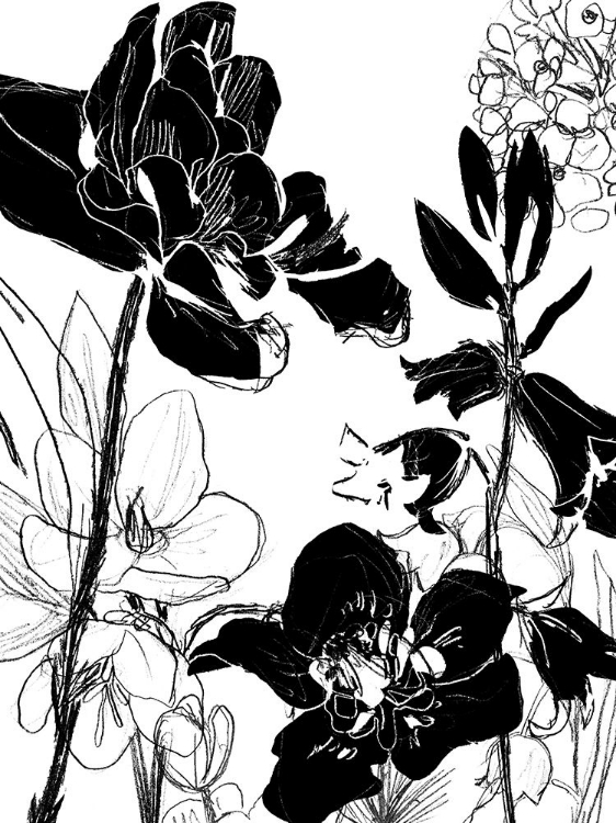 Picture of MONOTYPE GARDEN II