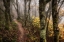 Picture of FOG AHEAD