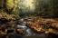 Picture of STONE BRIDGE