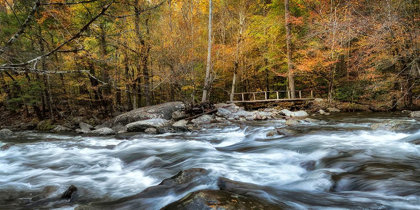 Picture of THE FOOT BRIDGE