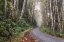 Picture of MOUNTAIN DRIVE