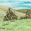 Picture of HILL LINES IV