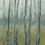 Picture of TRANSITIONAL TREELINE I