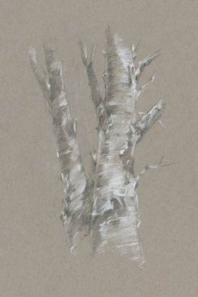 Picture of CHALK BIRCH STUDY I