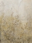 Picture of ILLUMINATE LIGHT I