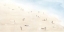Picture of BEACH GOERS III