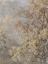 Picture of FOREST FRESCO II