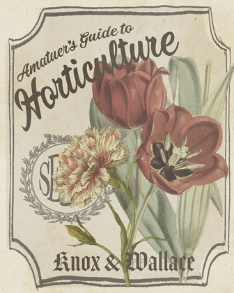 Picture of VINTAGE SEED PACKETS I