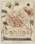 Picture of VINTAGE SEED PACKETS IV