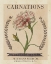 Picture of VINTAGE SEED PACKETS V