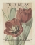 Picture of VINTAGE SEED PACKETS VI