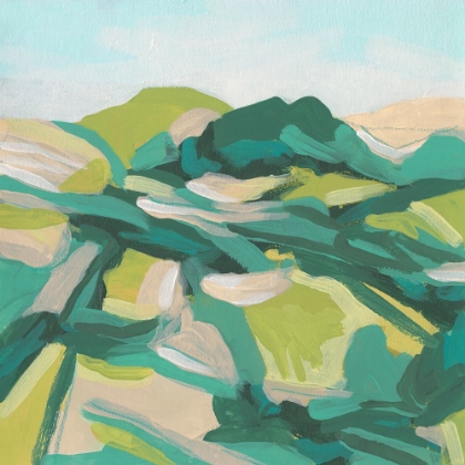 Picture of LAYERED TOPOGRAPHY II